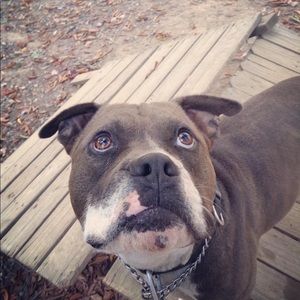 Meet your Posher, Megan